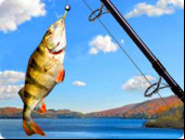 Addictive Angling - Arcade Games Free 